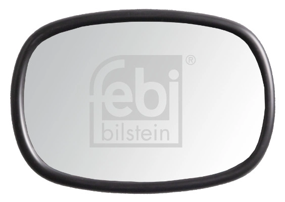Exterior Mirror, driver cab (184543)