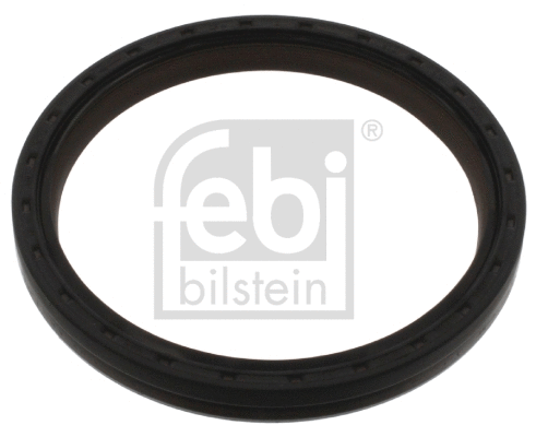 Shaft Seal, crankshaft (44579)