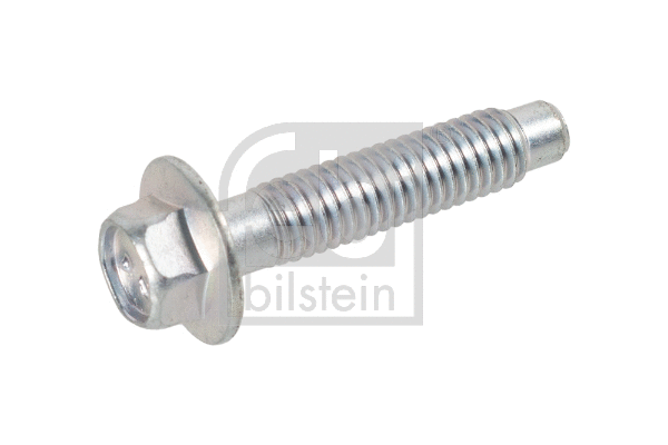 Screw (173049)