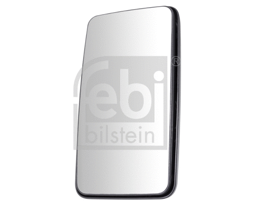 Exterior Mirror, driver cab (49988)