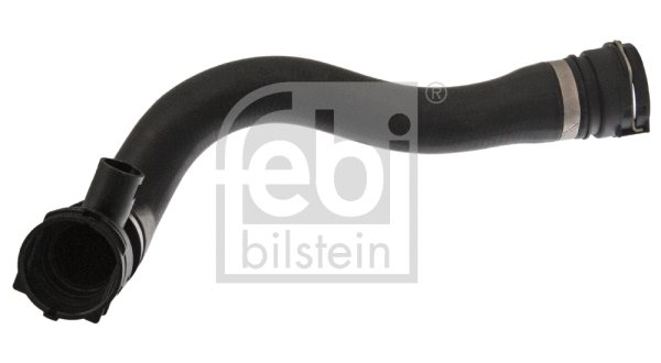 Radiator Hose (36766)