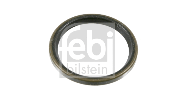 Seal Ring, steering knuckle (03257)