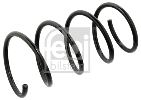 Suspension Spring (104727)