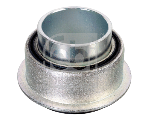 Bushing, axle beam (173617)