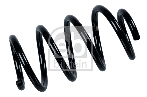 Suspension Spring (104723)
