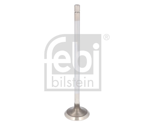 Exhaust Valve (185195)