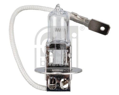 Bulb, front fog light (173276)