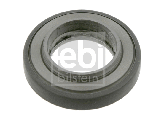 Bearing, steering knuckle (10201)