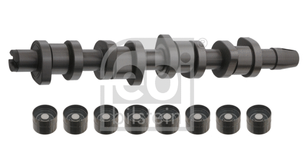 Camshaft Kit (33195)