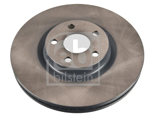 Brake Disc (176973)