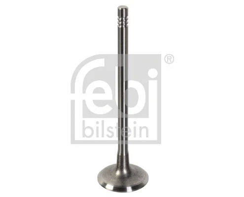 Intake Valve (181647)