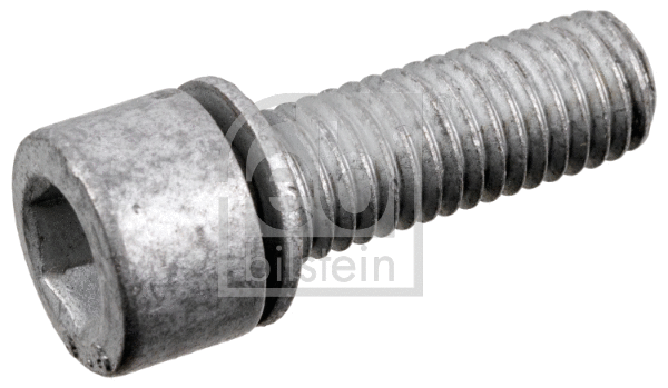 Screw Plug, axle drive (177755)