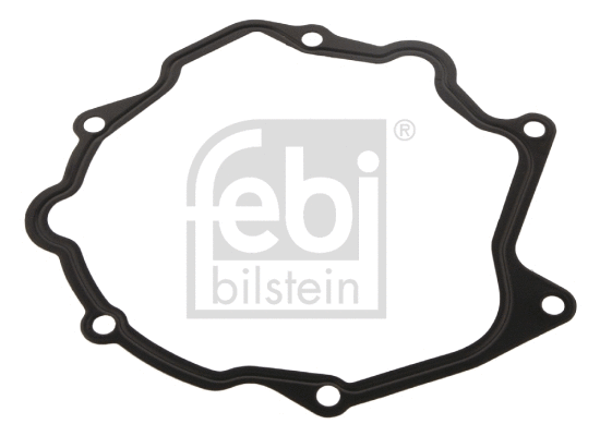Gasket, vacuum pump (11950)