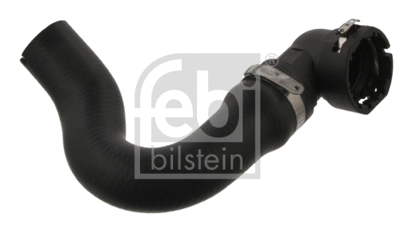 Radiator Hose (37125)