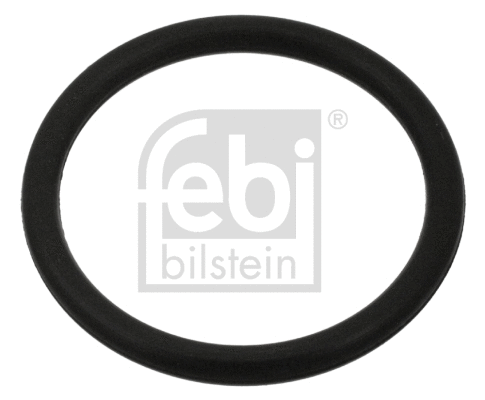 Seal Ring, oil drain plug (100998)