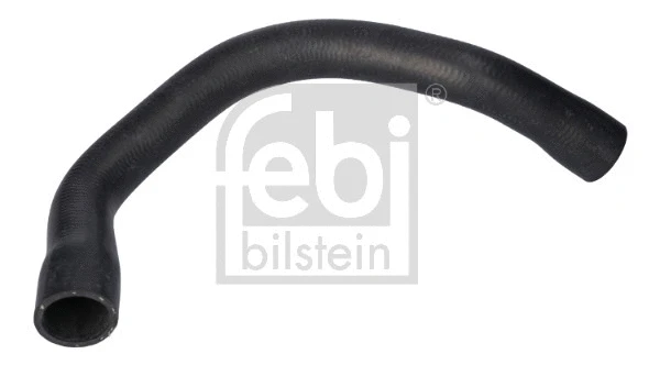 Radiator Hose (181006)