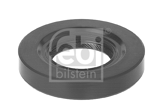 Shaft Seal, manual transmission flange (11410)