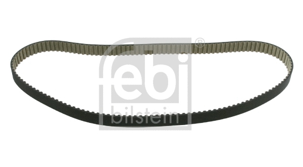 Timing Belt (21718)