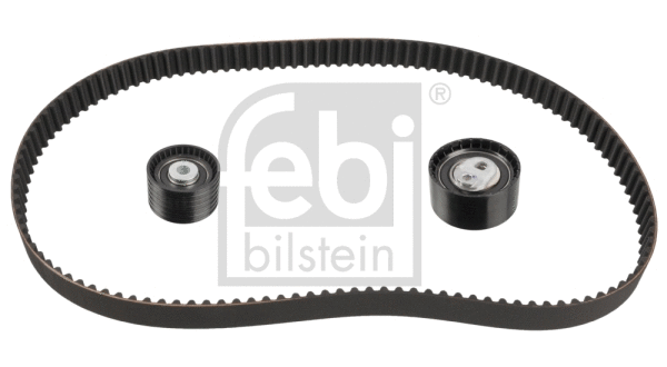 Timing Belt Kit (106310)