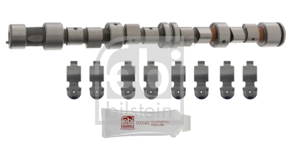 Camshaft Kit (12242)