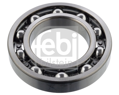 Bearing, manual transmission (107447)