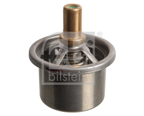 Thermostat, coolant (171162)
