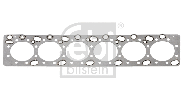 Gasket, cylinder head (101093)