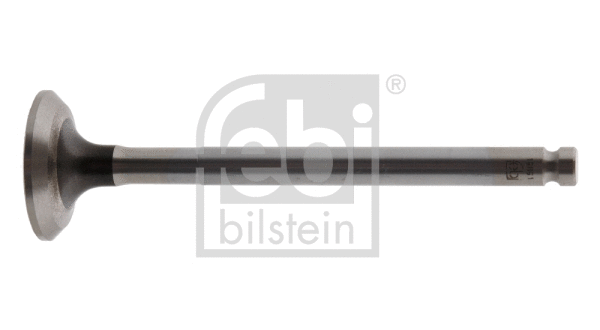 Exhaust Valve (19891)