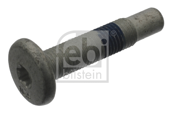 Bolt, control arm (11154)