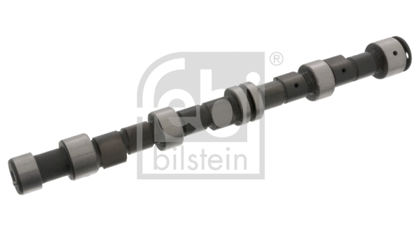 Camshaft (12245)
