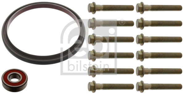 Repair Kit, flywheel (45615)