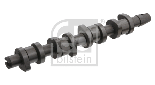 Camshaft (33193)