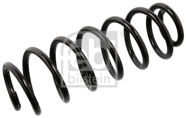 Suspension Spring (104733)
