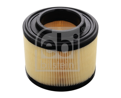 Air Filter (48461)