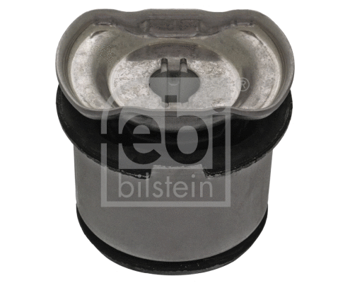 Bushing, axle beam (48723)