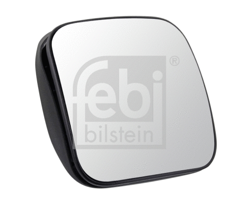 Wide-Angle Mirror (100019)
