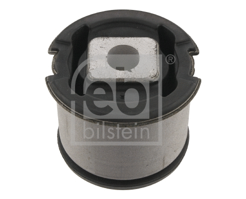 Bushing, axle beam (30975)