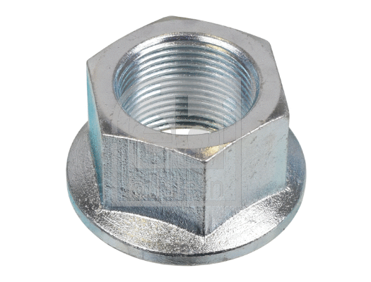 Nut, stub axle (173786)