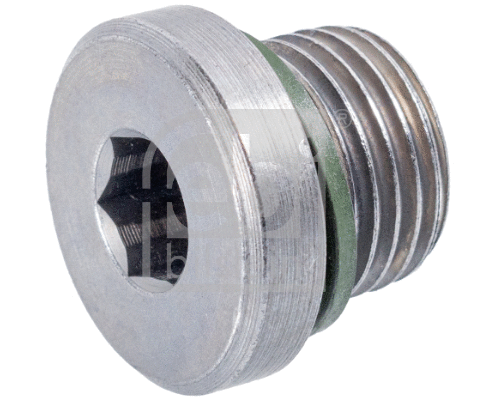 Screw Plug, oil sump (172181)