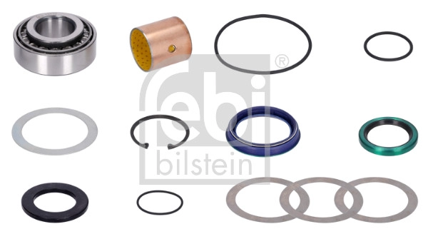 Repair Kit, kingpin (182569)