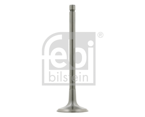 Intake Valve (26031)