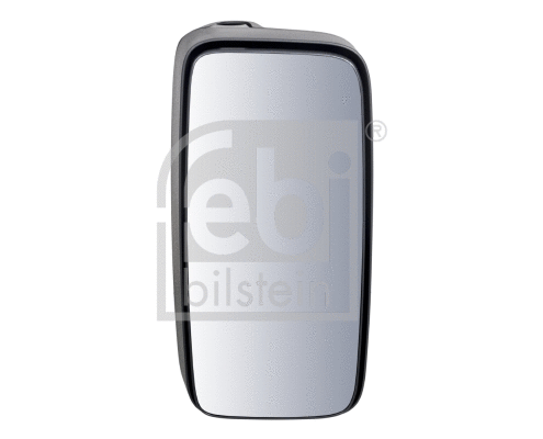 Exterior Mirror, driver cab (101038)