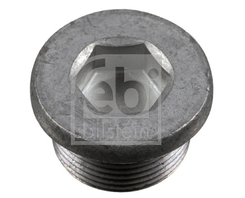 Screw Plug, transmission housing