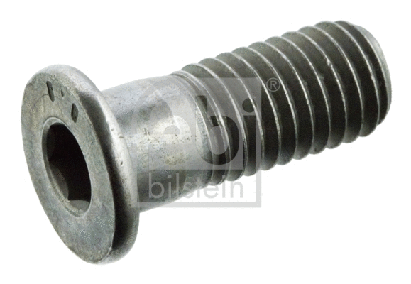 Bolt, brake disc (01893)