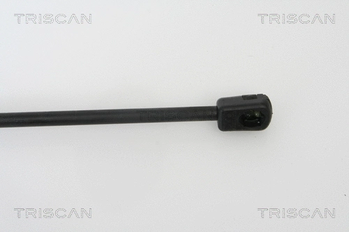 Gas Spring, boot/cargo area