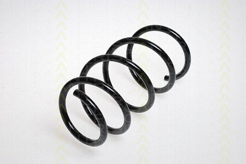 Suspension Spring (8750 2569)