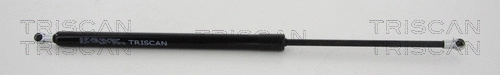Gas Spring, boot/cargo area (8710 10217)