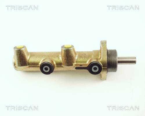 Brake Master Cylinder (8130 25116)