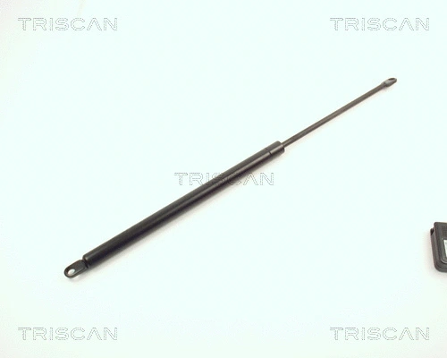 Gas Spring, boot/cargo area (8710 2908)