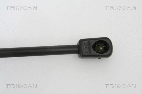 Gas Spring, boot/cargo area